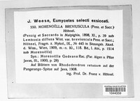 Image Associated With the Occurrence